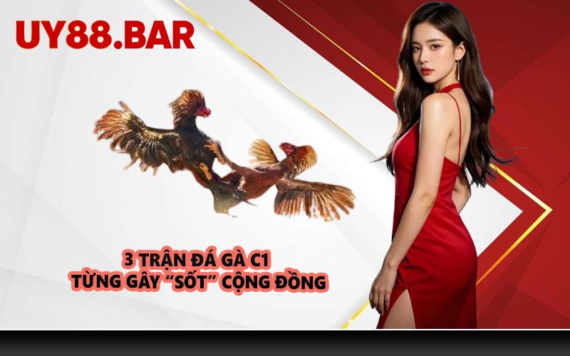 3 trận đá gà C1 từng gây “sốt” cộng đồng