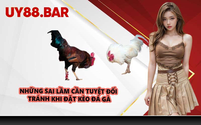 Những sai lầm cần tuyệt đối tránh khi đặt kèo đá gà