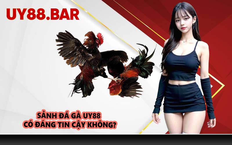 Sảnh Đá Gà UY88 Có Đáng Tin Cậy Không?