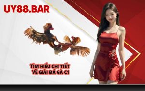 Tìm hiểu chi tiết về giải đá gà C1