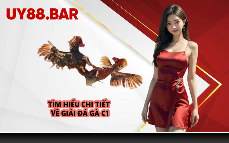 Tìm hiểu chi tiết về giải đá gà C1