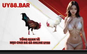 Tổng quan về mẹo chơi đá gà online UY88