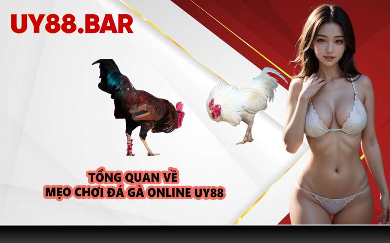Tổng quan về mẹo chơi đá gà online UY88